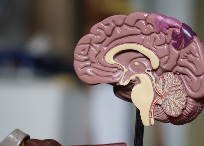 Sesiones Individuales